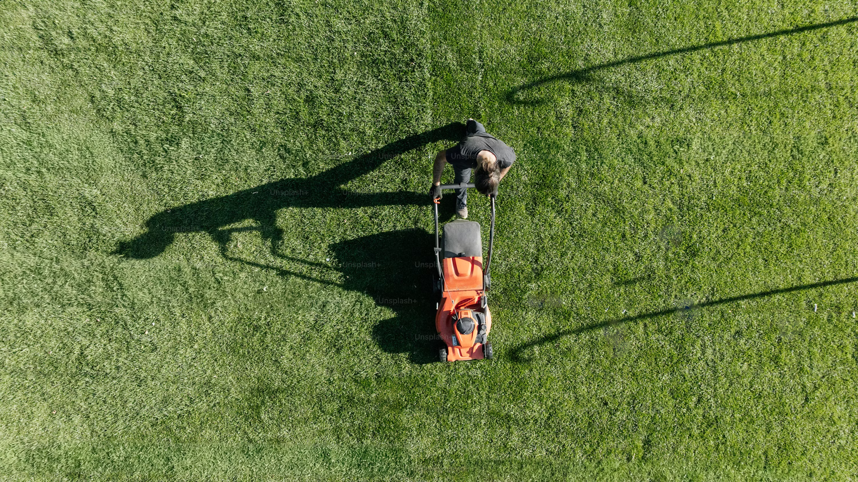 Well-maintained lawn and outdoor space